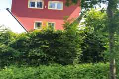 IMG-20200613-WA0017
