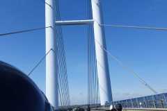 IMG-20200614-WA0002