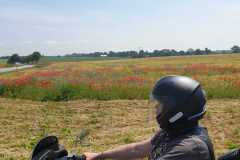 IMG-20200615-WA0019