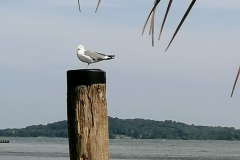 IMG_20200613_174216