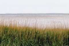 IMG_20200613_204543