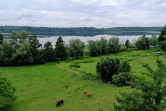 IMG_20200614_142739