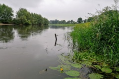 IMG_20200614_184332