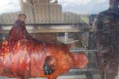 IMG-20211003-WA0052