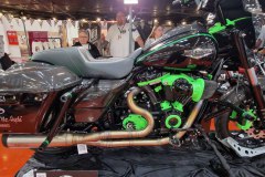 2023-Custom-Bike029