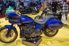 2023-Custom-Bike039