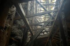 IMG-20251004-WA0034