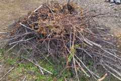 IMG-20260704-WA0041
