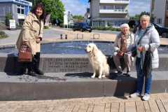 IMG-20260516-WA0023