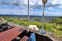 IMG-20260516-WA0025