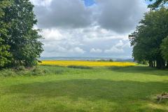 IMG-20260520-WA0038