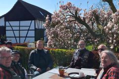 WhatsApp-Image-2026-03-22-at-16.15.47