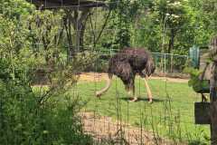 IMG-20260524-WA0017