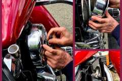 IMG-20210513-WA0129